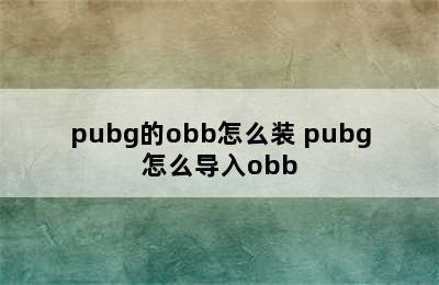 pubg的obb怎么装 pubg怎么导入obb